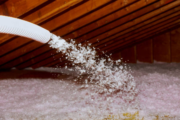 Best Insulation Installation Services in Strawberry Point, IA