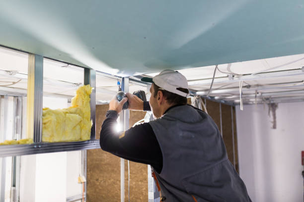 Professional Insulation Contractor in IA