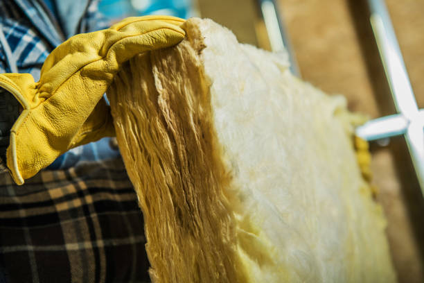 Best Insulation Maintenance and Repair in Strawberry Point, IA